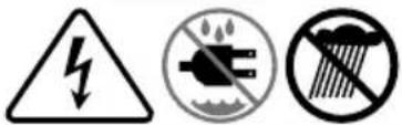 TROY-BILT Storm 2425 - SAFETY SYMBOLS - 4