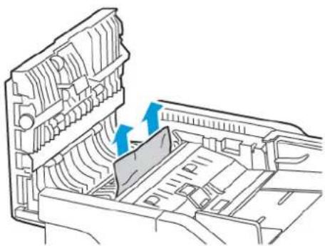 XEROX C315I - Retirez le papier coincé. - 2