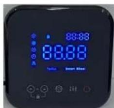 ASTRALPOOL Pro Elyo Touch - Installation of the display deportee (option) - 1
