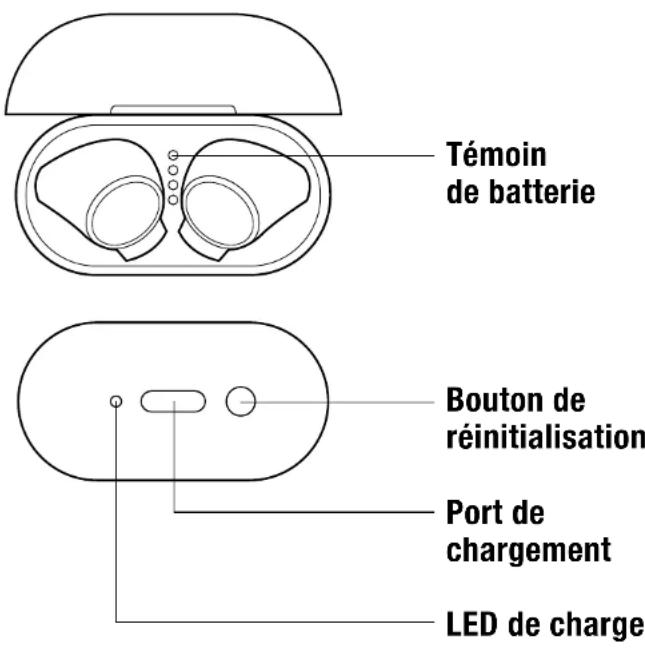 FRESH N REBEL TWINS 3 TIP - Risco de danos! - 1