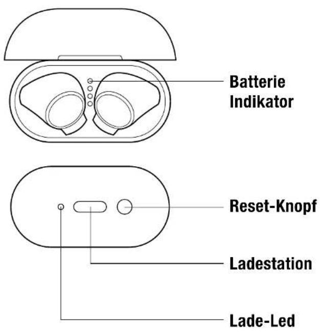FRESH N REBEL TWINS 3 TIP - ERSTE SCHRITTE ERSTMALIGES PAIRING - 1