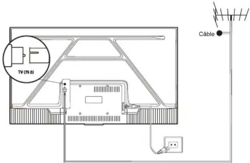 TCL 43P635 - Branchez l'alimentation et l'antenne - 1
