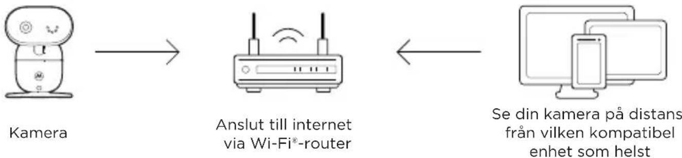 MOTOROLA PIP1010 - Anslut till Wi-Fi och använd Nursery-appen - 1