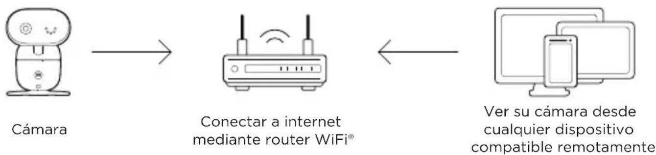 MOTOROLA PIP1010 - Conectar a WiFi® usable la app Nursery - 1