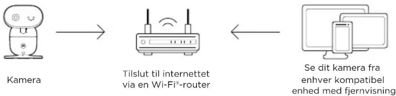 MOTOROLA PIP1010 - Tilslut til Wi-Fi® og brug Nursery App - 1