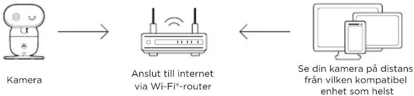 MOTOROLA PIP1610 HD Connect - Anslut till Wi-Fi® och använd Nursery-appen - 1