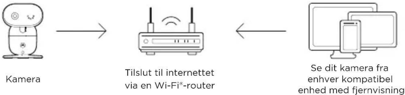 MOTOROLA PIP1610 HD Connect - Tilslut til Wi-Fi® og brug Nursery App - 1