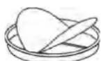 FRIGIDAIRE PL36WC40EC - PREPARE THE HOOD - 2