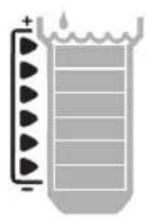 RAIN BIRD WR2 - Indicador de cancelacion por descenso de temperatura (solo en el sensor de heladas): - 1