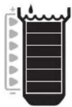 RAIN BIRD WR2 - Indicador de cancelacion por descenso de temperatura (solo en el sensor de heladas): - 2