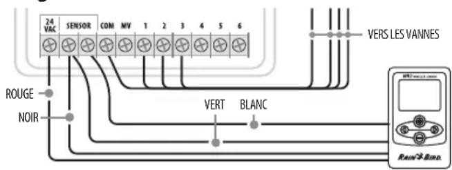RAIN BIRD WR2 - Programmateurs esp-mc et ESP LX modular - 1