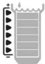 RAIN BIRD WR2 - Ponto Definido de Temperatura (apenas Sensor de Chuva/Congeração): - 1