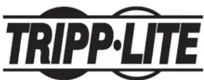Tripp Lite SmartRack SR48UBSP1 - Armoires de stockage SmartRack® - 1