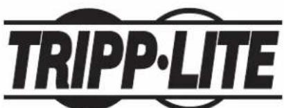 Tripp Lite SmartRack SR42UBEXPNDNR3 - Note on Labeling - 1