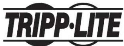 Tripp Lite SmartRack SR45UBDPWD - Note on Labeling - 1