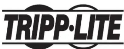 Tripp Lite SmartRack SRW12UG - Copepkanhe - 1