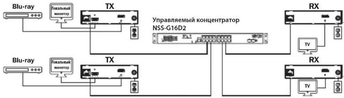 Tripp Lite B160202HDSI - Установка с многоточечной топологией — Управляемый коммутатор с использованием протокола IGMP - 3