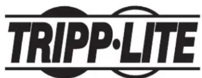 Tripp Lite N48LSS16X16 - Spine-and-Leaf Singlemode MPO/MTP-Panels, 1-HE - 1