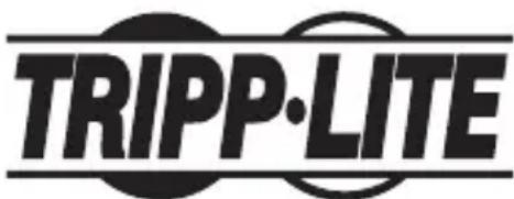 Tripp Lite U336000R - Información de Cumplimiento con WEEE para Clientes y Recicladores de Tripp Lite (Unión Europea) - 2