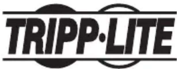 Tripp Lite U44406NDVIBAM - Adaptateur de mode alternatif USB 3.1 Gen 1 à DVI - 1