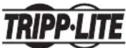 Tripp Lite U244001VGA - Rensignements sur la conformité à la directive DEEE pour les clients de Tripp Lite et les recycleurs (Union europeenne) - 2