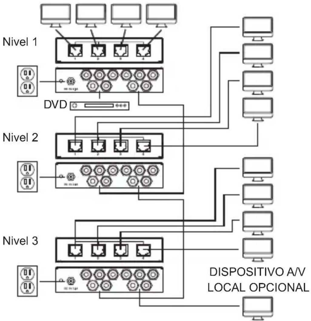 Tripp Lite B136101 - Notas: - 1