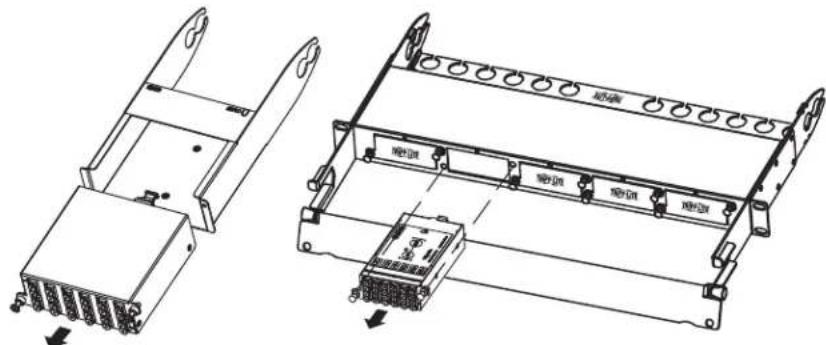 Tripp Lite N4823M8LC12 - Garantie à vie limitée - 3
