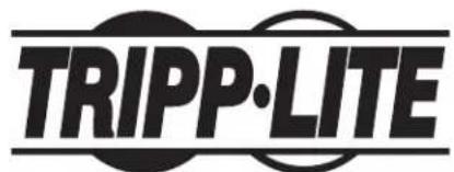Tripp Lite SmartRack SRFC10STR72 - Straight Channel Section for Fiber Routing System - 4