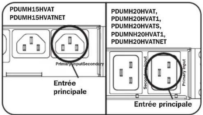 Tripp Lite PDUMNH20HVAT1 - Raccordement de la PDU - 1