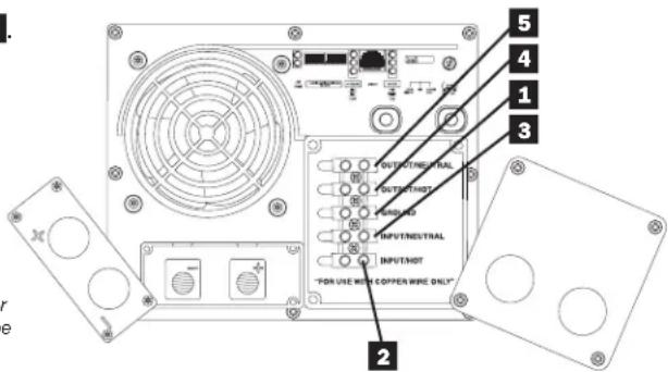 Tripp Lite APSINT3636VR - Salida de CA - 1