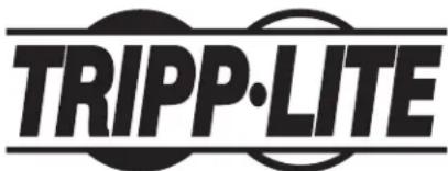 Tripp Lite APSINT3636VR - CC à CA de la série APS - 1