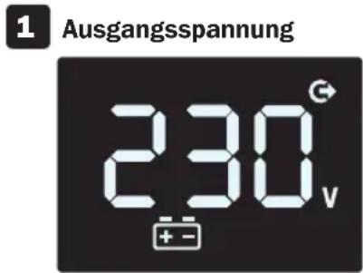Tripp Lite OMNIVSX1000D - Batteriestrom-Modus LCD Daten - 1