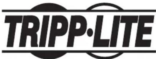 Tripp Lite OMNIVSX1000D - 1