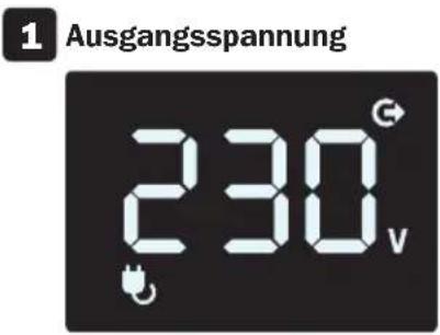 Tripp Lite OMNIVSX1000D - USV-/Strombedingungen anzeigen - 2
