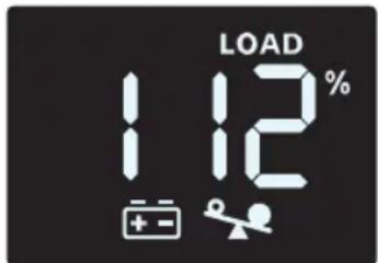 Tripp Lite OMNIVSX1000D - Battery Power Mode LCD Data - 5
