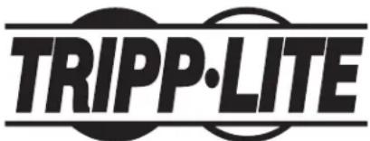Tripp Lite APS INT2424 - CC à CA de la série APS - 1