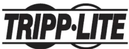 Tripp Lite APS INT2424 - Пре氧браЗоватейь посторного.TokaВперемень /зарядhoeустриствозери APS - 1