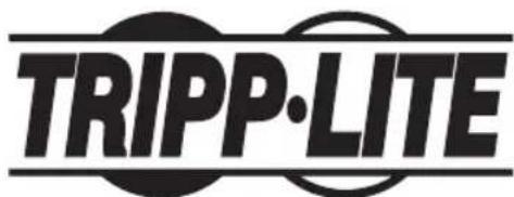 Tripp Lite DUNVPJT - Support pour projecteur universel - 4