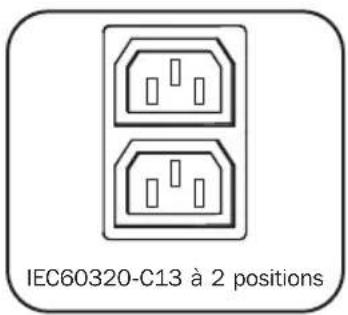 Tripp Lite PDUMNV20HV2LX - Caractéristiques - 1