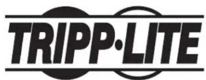 Tripp Lite DMCS60100XXCK - Maintenance - 2