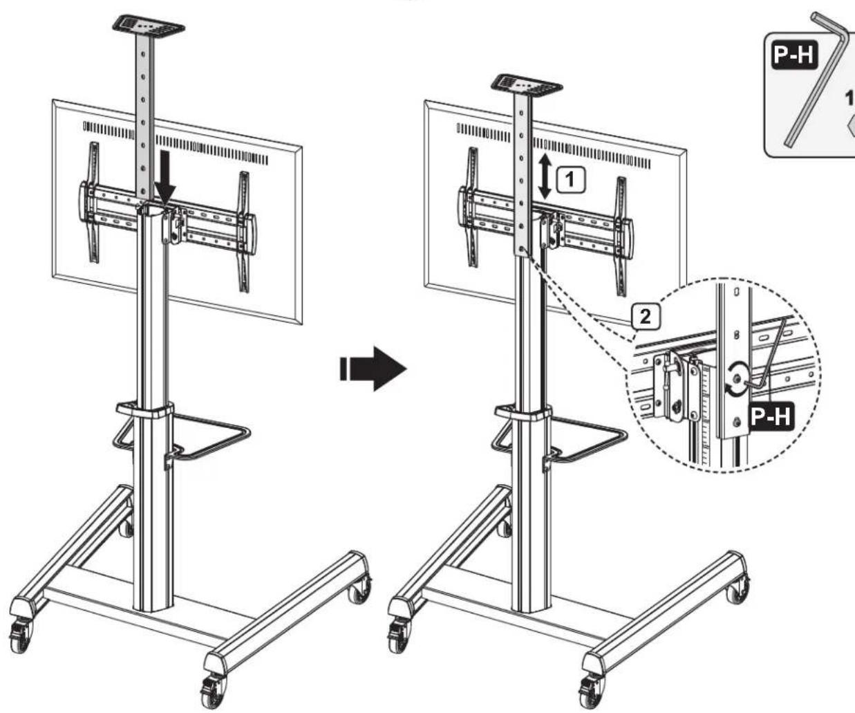 Tripp Lite DMCS3770AMUL - Assembly - 2