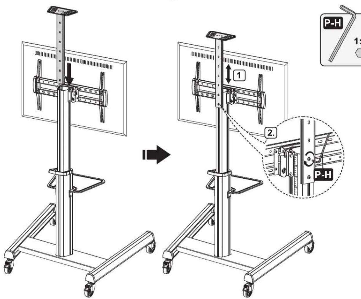 Tripp Lite DMCS3770AMUL - Assemblage - 2