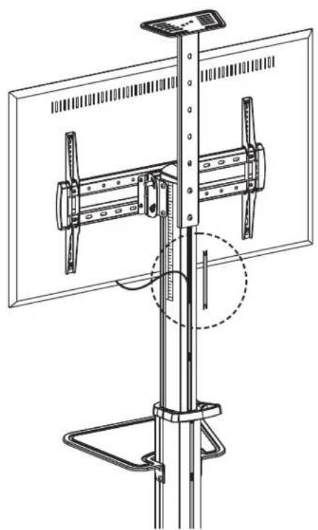 Tripp Lite DMCS3770AMUL - Kabelführung - 1