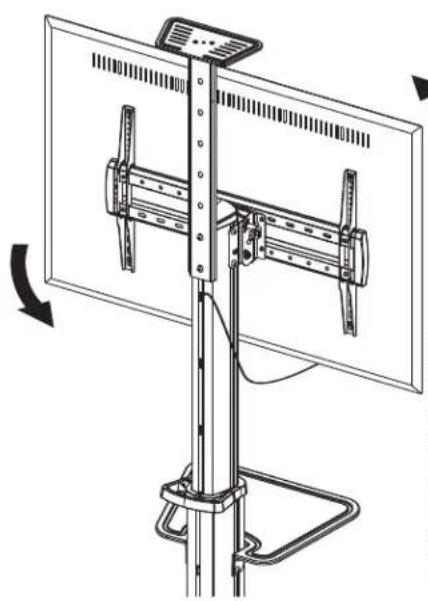 Tripp Lite DMCS3770AMUL - TV Orientation - 1