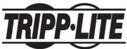 Tripp Lite SMX1000LCD - Información de sobre Cumplimiento de la WEEE para CLIENTES de Tripp Lite y Recicladores (Unión Europea) - 2