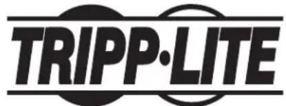 Tripp Lite BP480V10NIB - Informations de conformité DEEE pour les clients et les recycleurs Tripp Lite (Union européenne) - 2