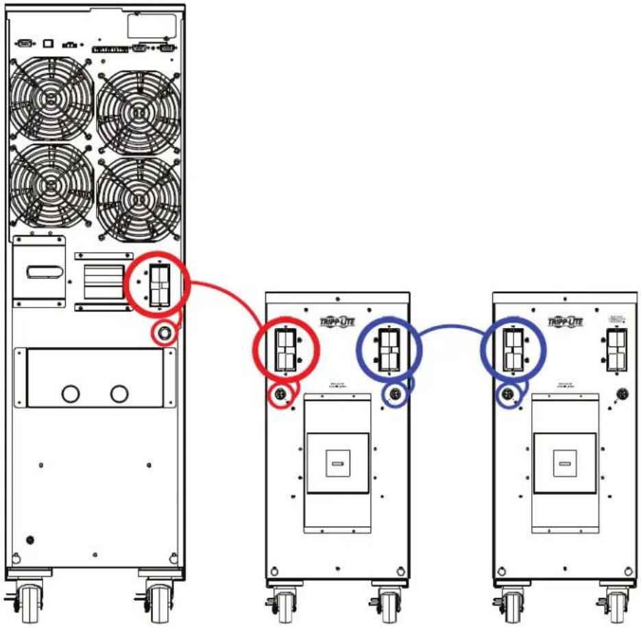 Tripp Lite BP240V135 - Conexión de un UPS al Módulo de Baterías - 1