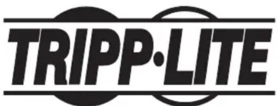 Tripp Lite BP480V65NIB - Informations de conformité DEEE pour les clients et les recycleurs Tripp Lite (Union européenne) - 2