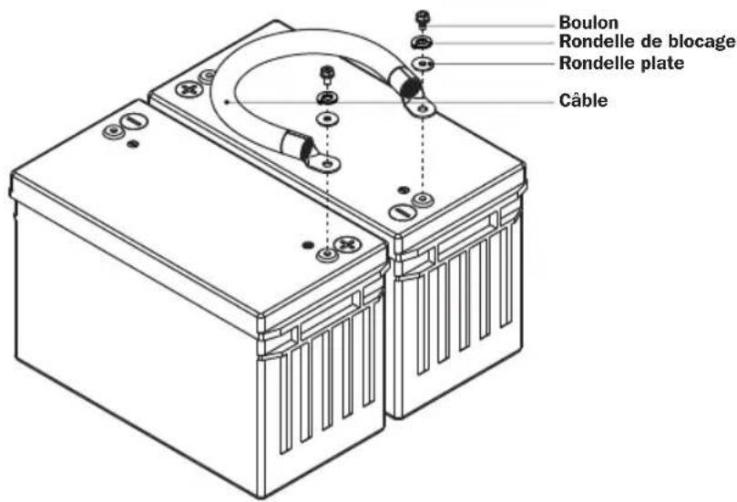 Tripp Lite BP480V65NIB - Installation des câbles de dérivation aux bornes des batteries - 1