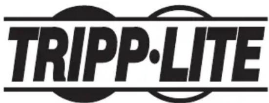Tripp Lite PDU12IEC - Zoll-Steckdosenleiste für PDU-Racks - 1